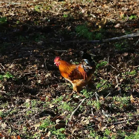 Evadez-vous à La Ferme ! Casa vacanze