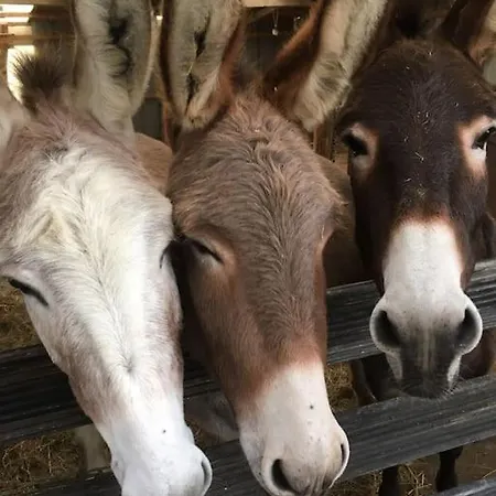 Evadez-vous à La Ferme ! Casa vacanze *