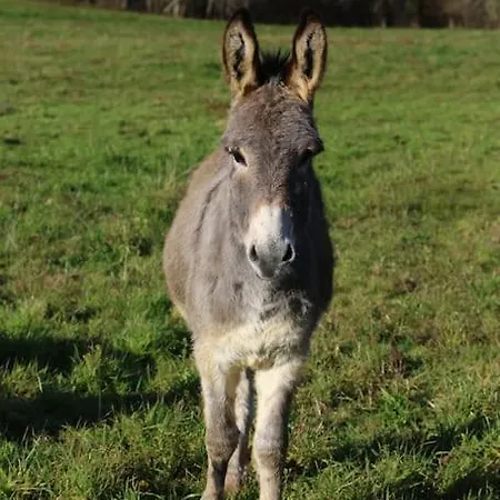 Evadez-vous à La Ferme ! Casa vacanze