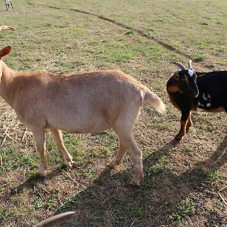 Evadez-vous à La Ferme ! * Val de Louyre et Caudeau