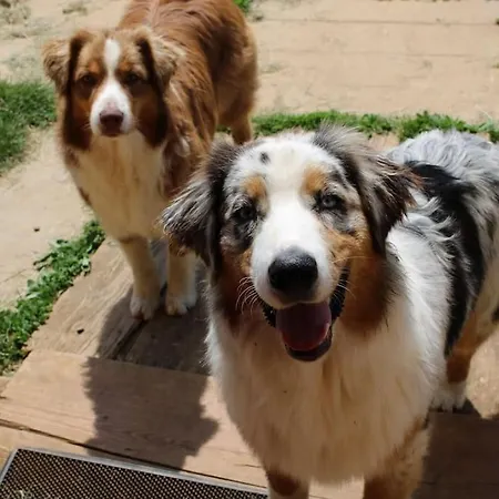 Evadez-vous à La Ferme ! Casa vacanze *