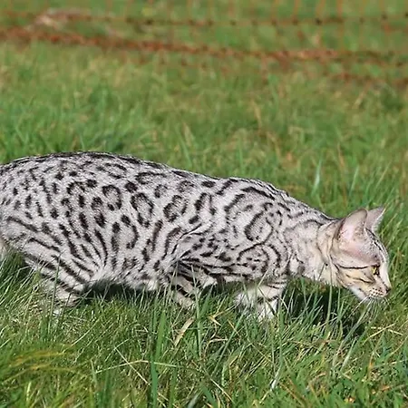 Casa vacanze Evadez-vous à La Ferme ! Val de Louyre et Caudeau