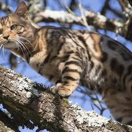 Evadez-vous à La Ferme ! Casa vacanze *