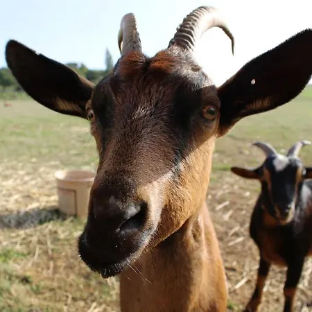 Casa vacanze Evadez-vous à La Ferme ! Val de Louyre et Caudeau