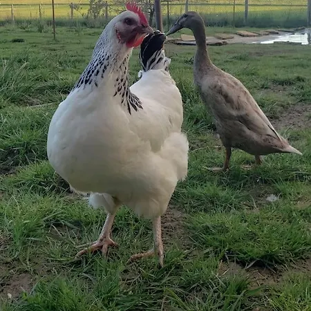 Evadez-vous à La Ferme ! Casa vacanze