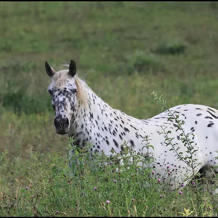 Casa vacanze Evadez-vous à La Ferme ! Val de Louyre et Caudeau