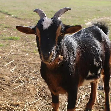 Evadez-vous à La Ferme ! *