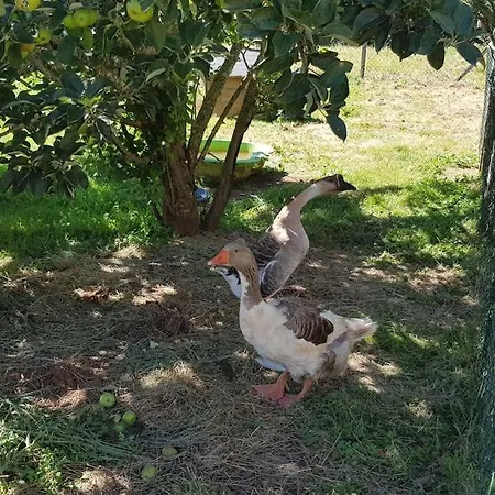 Evadez-vous à La Ferme ! Casa vacanze *