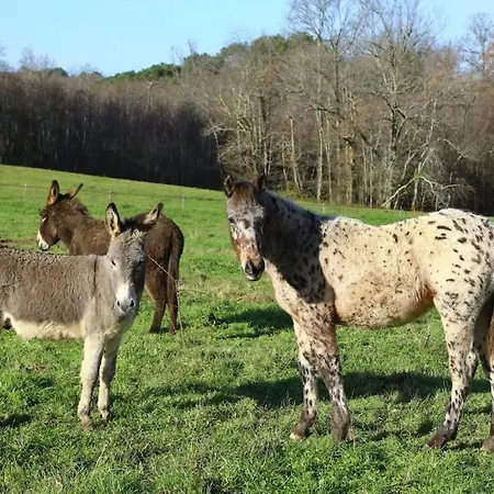 Casa vacanze Evadez-vous à La Ferme ! Val de Louyre et Caudeau