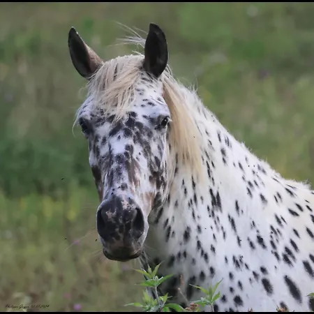 Casa vacanze Evadez-vous à La Ferme !
