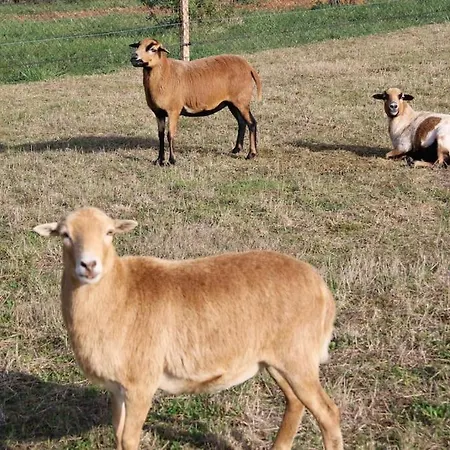 Dom wakacyjny Evadez-vous A La Ferme !
