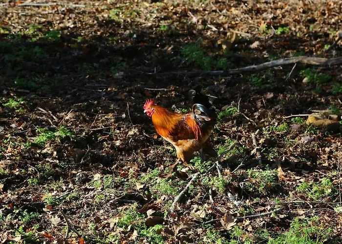 Evadez-vous A La Ferme ! Сasa de vacaciones