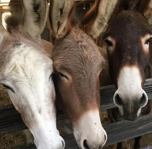 Evadez-vous A La Ferme ! Сasa de vacaciones *