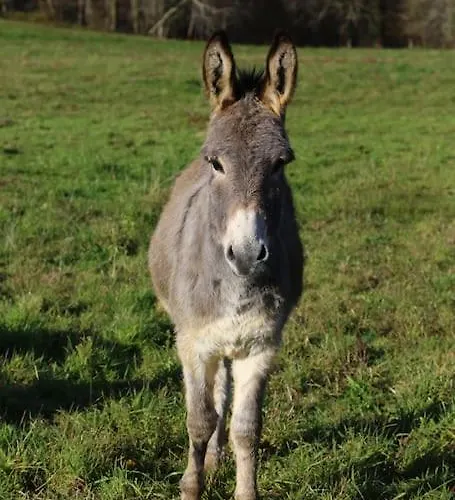 Evadez-vous A La Ferme ! Сasa de vacaciones