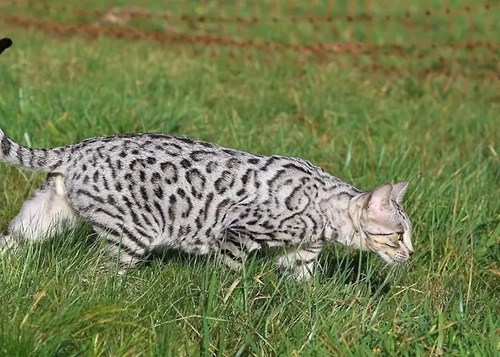 Сasa de vacaciones Evadez-vous A La Ferme ! Val de Louyre et Caudeau