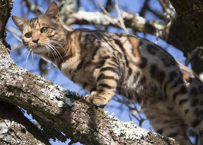 Evadez-vous A La Ferme ! Сasa de vacaciones *