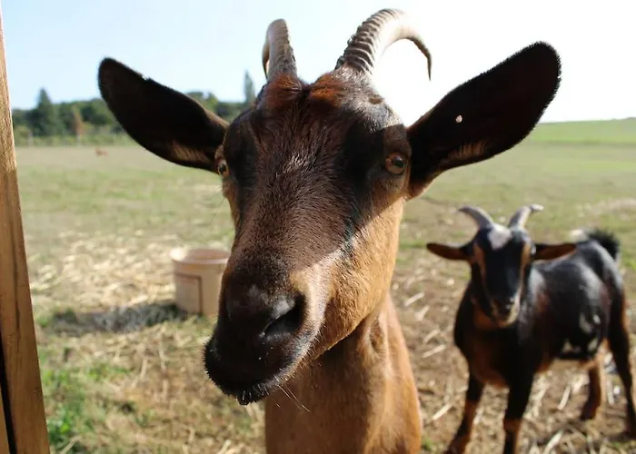 Сasa de vacaciones Evadez-vous A La Ferme ! Val de Louyre et Caudeau