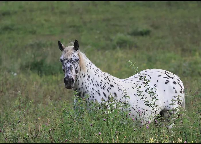 Сasa de vacaciones Evadez-vous A La Ferme ! Val de Louyre et Caudeau