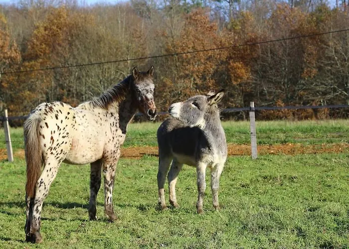 Сasa de vacaciones Evadez-vous A La Ferme !