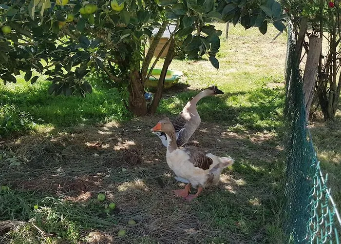 Evadez-vous A La Ferme ! Сasa de vacaciones *