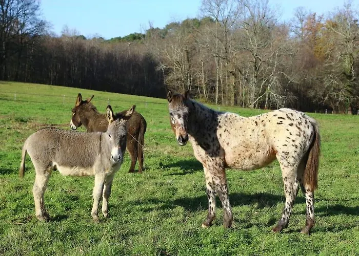 Сasa de vacaciones Evadez-vous A La Ferme ! Val de Louyre et Caudeau