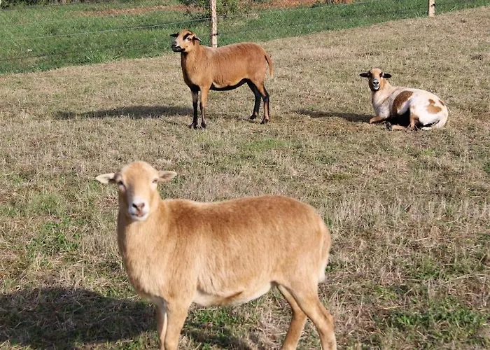 Сasa de vacaciones Evadez-vous A La Ferme !